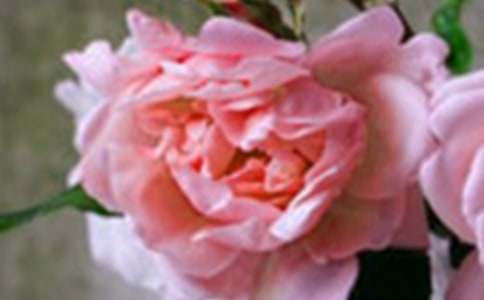 �_��ӛ����̎�Ļ�������[�R��15ƪ]