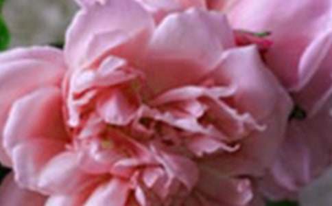 ���,����400��С�W(xu��)����