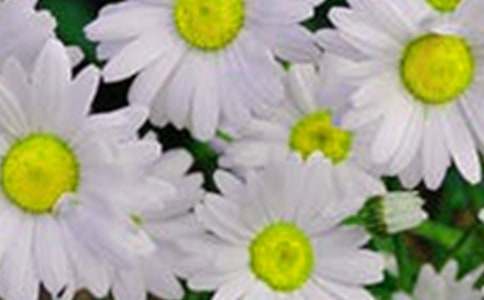 開(kāi)在記憶深處的花朵作文(精選43篇)