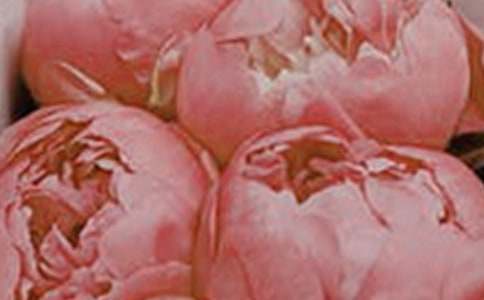 �_(k��i)��ӛ����Ļ������ģ�ͨ��32ƪ��