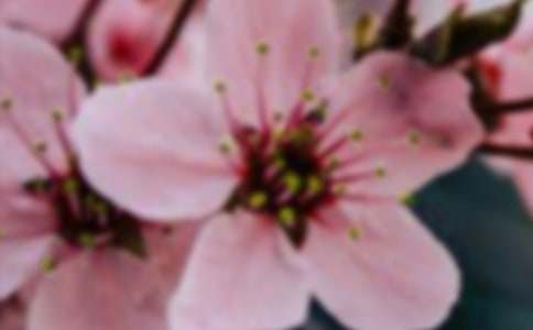 開在記憶深處的花朵作文(精選104篇)