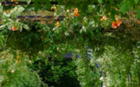 ʥ�˻��@_����