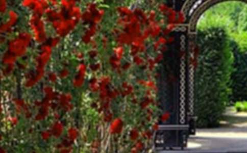 �����еĻ��@����3ƪ