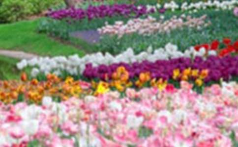 ӛ�����@����