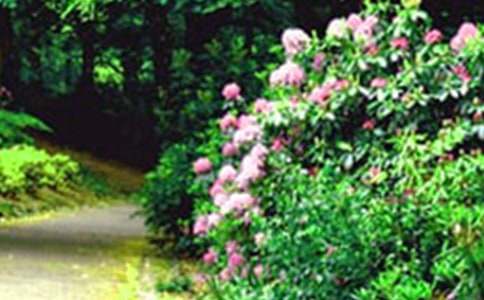 δ��(l��i)�Ļ��@���ģ����x16ƪ��