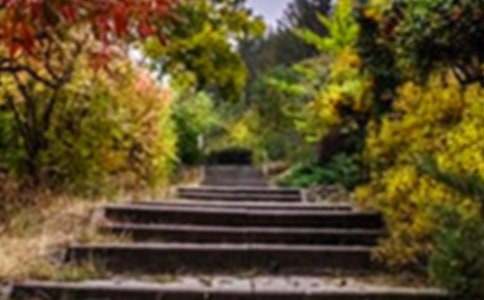 �����˻��@���m(x��)������200��