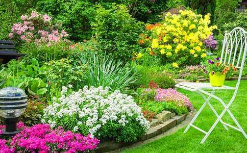 未來的空中花園作文