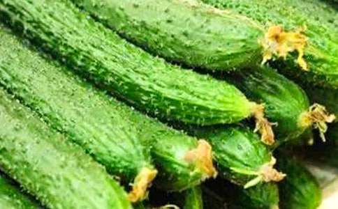 黃瓜作文400字九篇