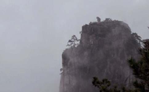 �F���Sɽ����700��