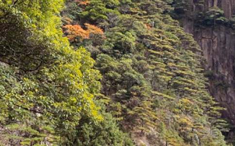 黃山四絕作文(通用19篇)