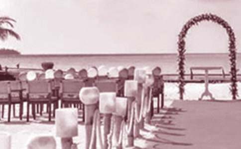 ��Y��Ʒ��Ӣ�Ķ��Z(y��)����Щ