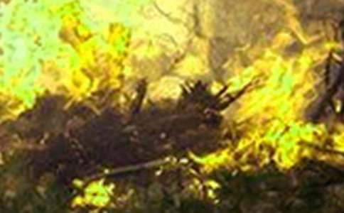 ��ĵ�����600�֣����x33ƪ��