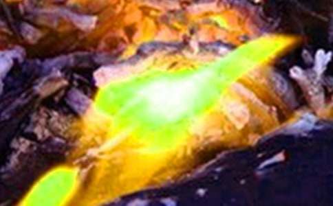 �h�x���(z��i)��������������