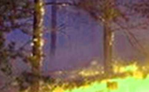 珍愛(ài)生命遠(yuǎn)離火災(zāi)作文5篇