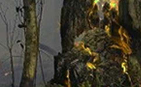 �h�x�������������ąR��6ƪ