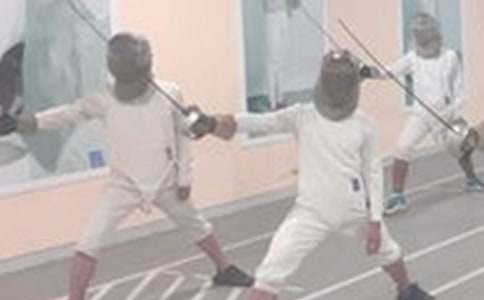 喜羊羊與灰太狼之擊劍比賽800字作文 - 初中想象作文