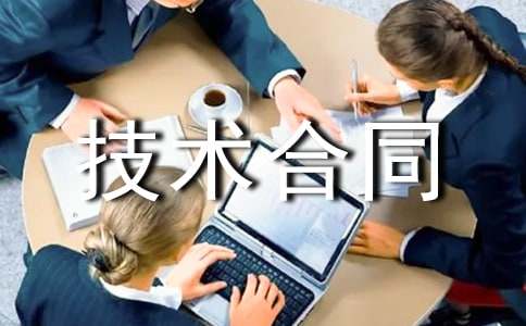 軟件技術(shù)合同15篇