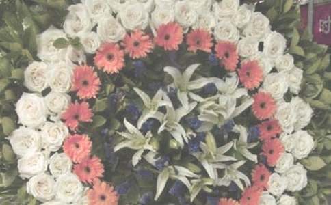 祭奠青春作文5篇