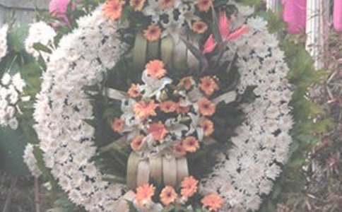 �ഺ�o���������