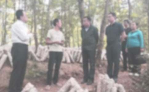 紀(jì)檢干部自查報(bào)告(通用14篇)