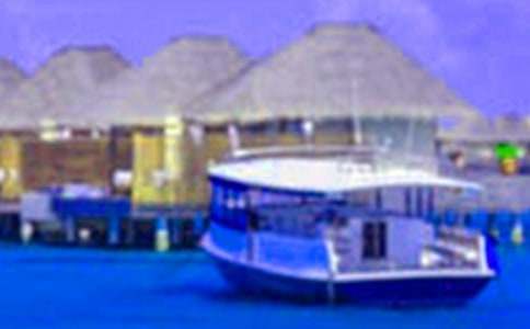 我的假期我自己做主作文(精選15篇)