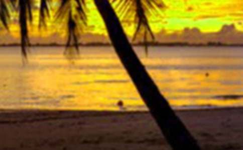 �������ҌW(xu��)��(hu��)�˪�(d��)������800��