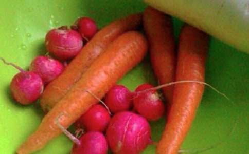 ���(y��ng)���½������L(zh��ng)���ڰ�ȫ֮���о`������