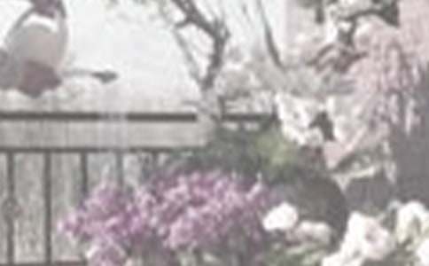 �������ĵ������ġ����T��