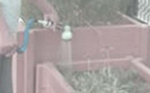 ��������400��3ƪ