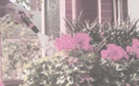 �������D����12ƪ