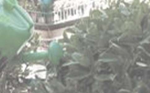 �͋����������ģ����x19ƪ��