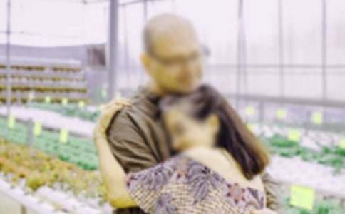 送給父母的金婚賀詞