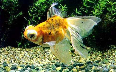 �茑(xi��)���~(y��)��400������