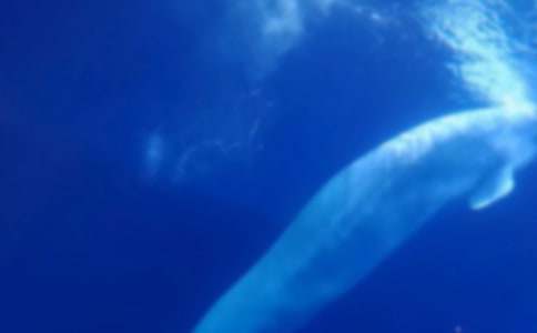 �L�~����300����ƪ