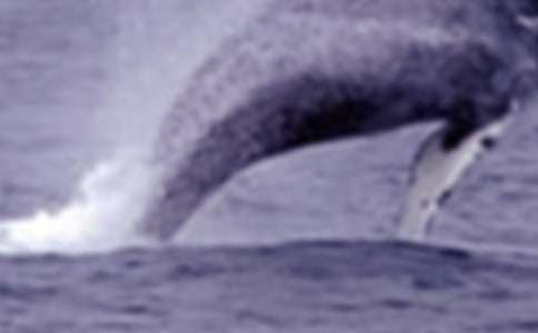 �L�~����300�֣����x32ƪ��