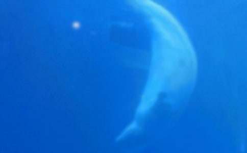 �L�~����400��3ƪ