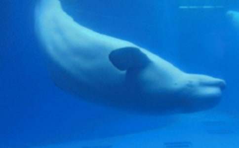 �������ģ��L�~���U