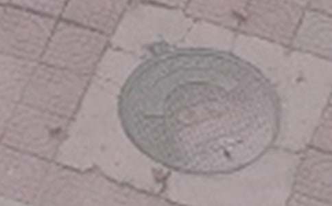 【精華】井蓋作文300字4篇