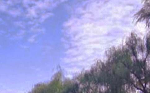 �茑��ɫ���~�Z