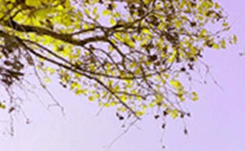 �茑��ɫ�ĳ��Z����˼