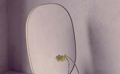 都是鏡子惹的禍小學(xué)作文