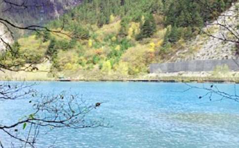 ��կ�ϵ�ˮ����10ƪ���ᣩ