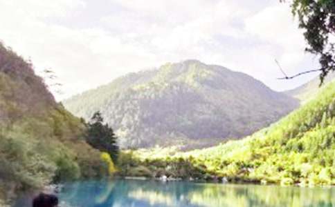 ��կ�ϵ�ˮ����10ƪ