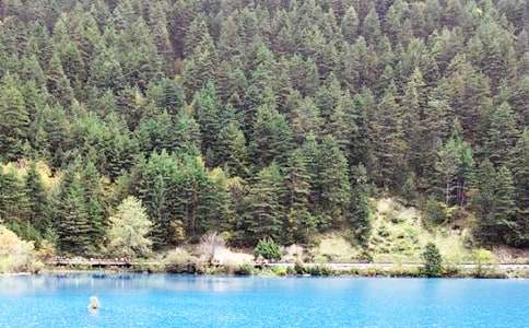 ��կ�ϵ�ˮ����ͨ��8ƪ