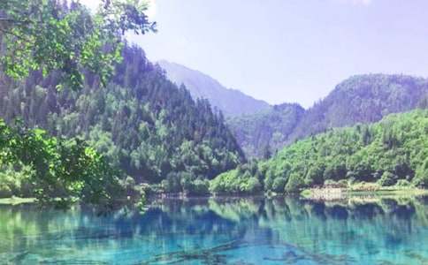 九寨溝的水作文(精選17篇)