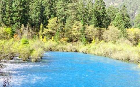 ͯԒ�����կ�����ĺϼ�3ƪ