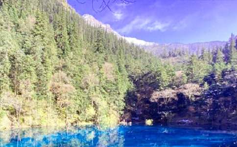 童話世界九寨溝作文(精選9篇)