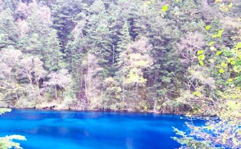 童話世界九寨溝作文集合3篇