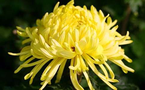 �ջ���������