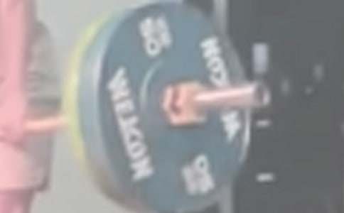 水果舉重會作文